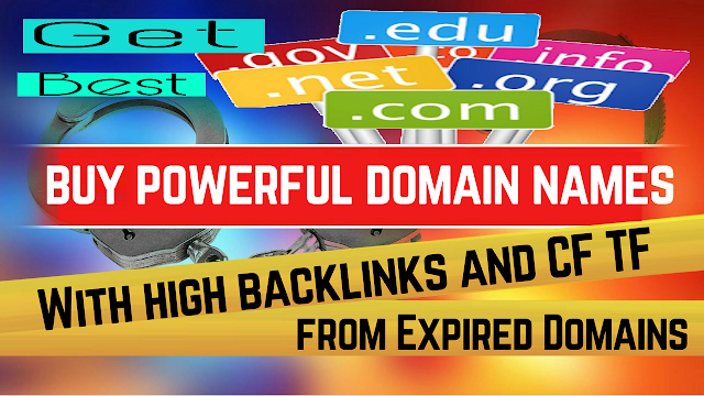 How to search and buy powerful cheap domain names with backlinks and CF TF from Expired Domains
