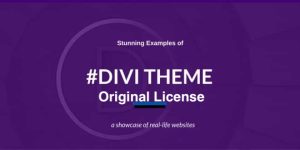 Divi-WordPress-Theme