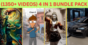 4 in 1 Bundle Pack (1350+ Videos)